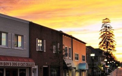 Planning for the Expected